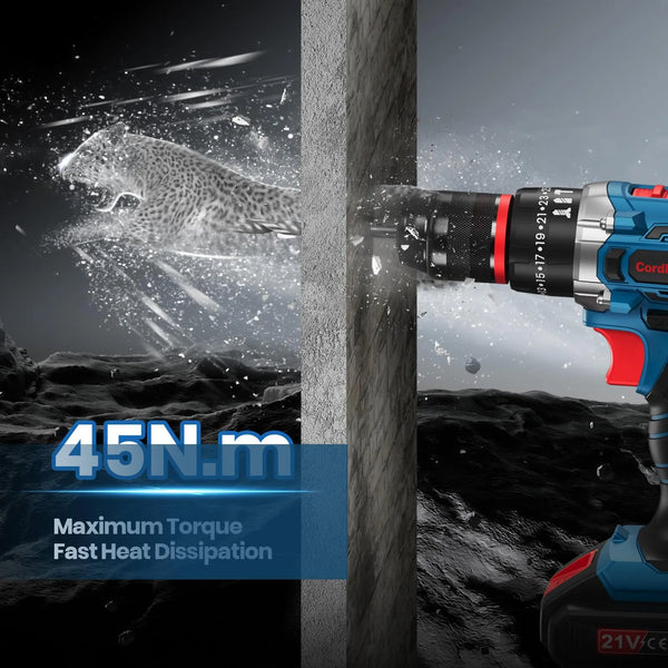 Perceuse Visseuse Sans Fil 20V – 2 Batteries 2.0Ah, 42Nm, 25+1 Réglages, 24 Accessoires